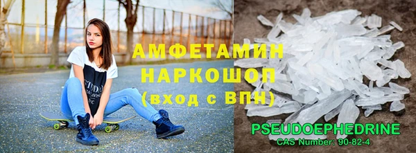 СК Дмитров